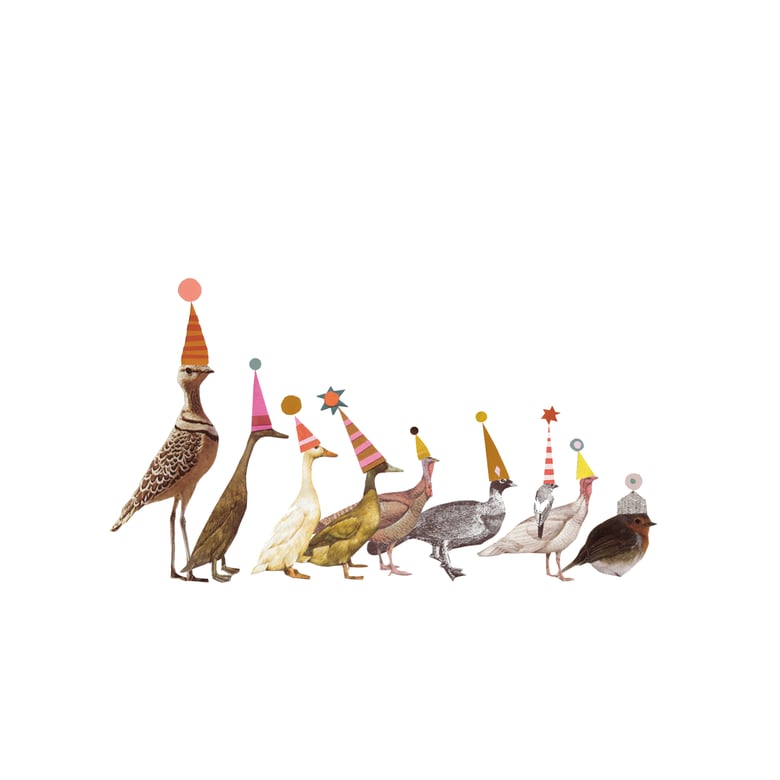 Image of Bird Parade