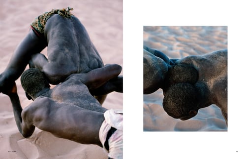 Image of Nature of the Beast Issue (Emon Cover)