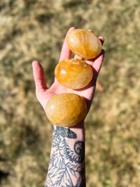 Image 1 of Golden Healer Palm Stone