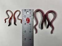 Image 5 of Hangers 🪱