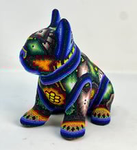 Image 3 of French Bulldog Puppy Vol 3 009