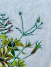 Midsummer bouquet 
