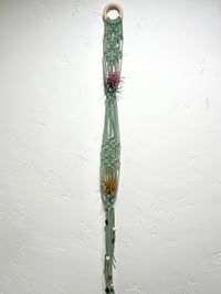 Image 4 of Air Plant Hanger