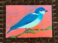 Image 1 of Mountain Bluebird