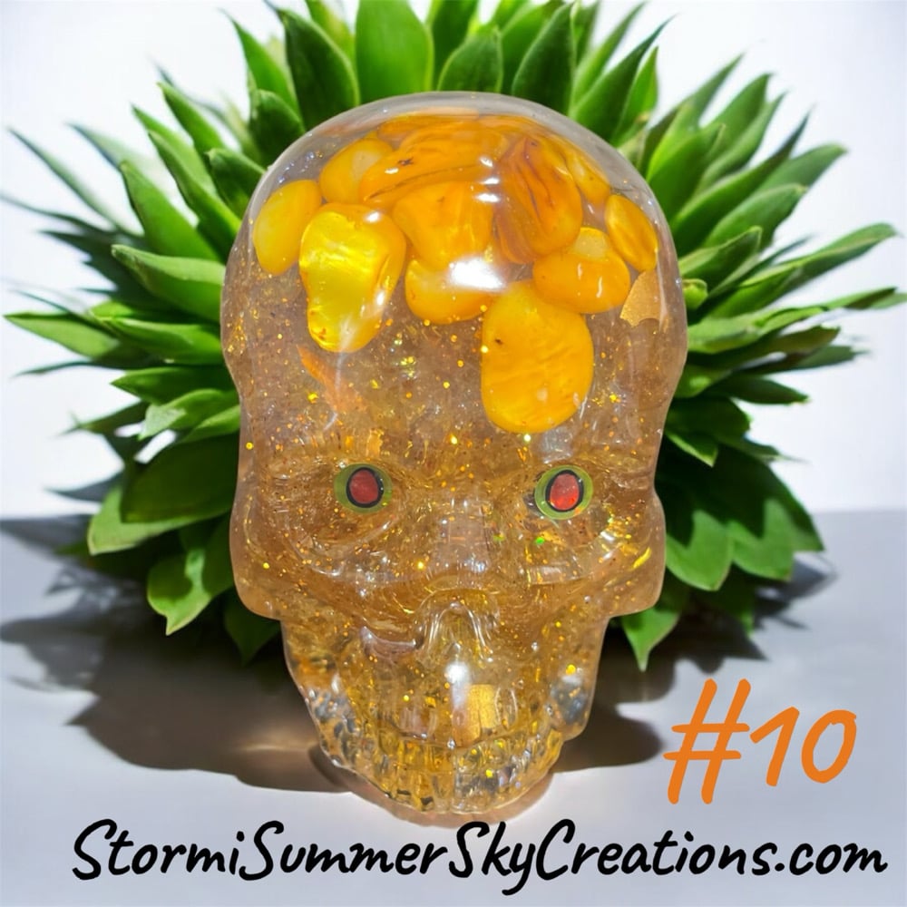 Image of Medium Sized Skulls