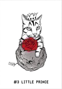 Image 5 of A4 Pearlescent Prints: Cat Collection