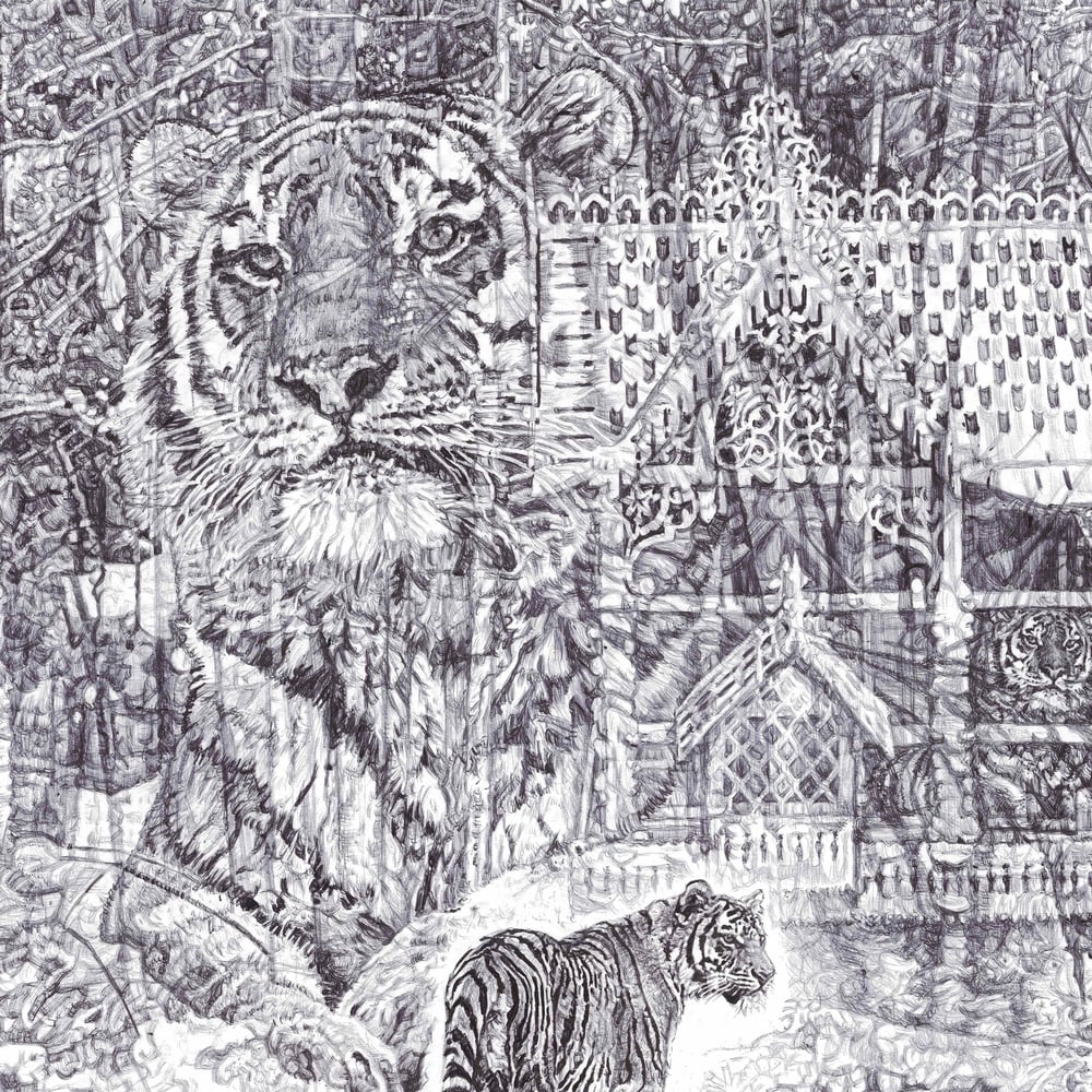Image of SHH, IT'S A TIGER! LIMITED EDITION PRINT
