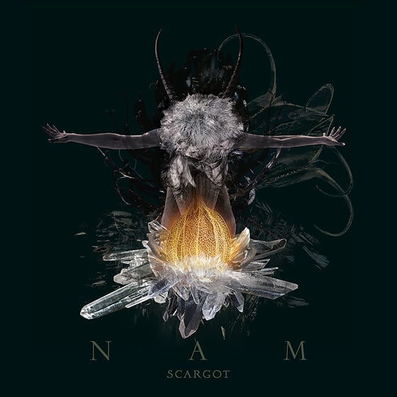 Image of Album »NAM«
