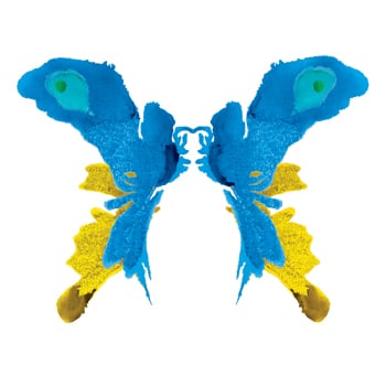 Signed Butterfly Album
