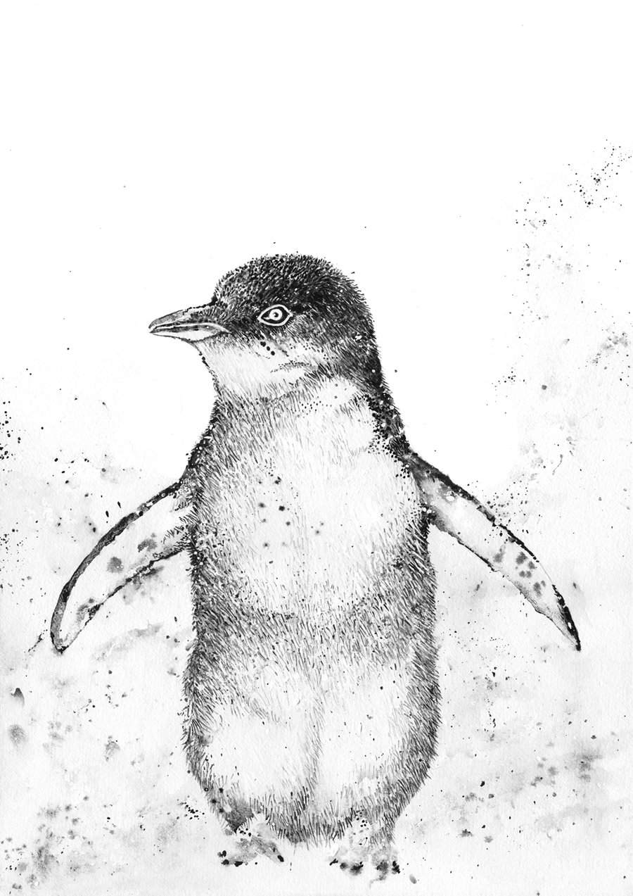 Image of Phillip - the Fairy Penguin - FREE SHIPPING