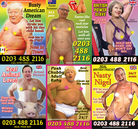 Image of Political whores flyer pack