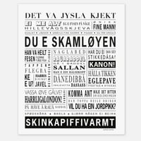 Stavanger plakat "Du e skamløyen"