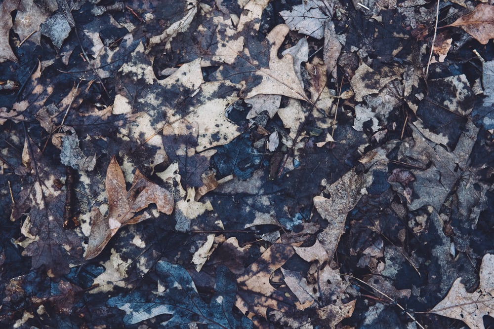 Image of Thoughts scattered across the stars