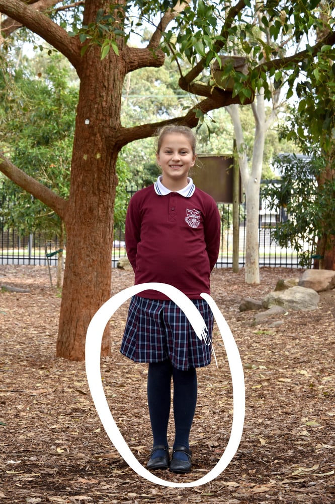 Navy Cotton Tights (Price Before Tax)  Narrabeen Lakes Public School  Uniform Shop