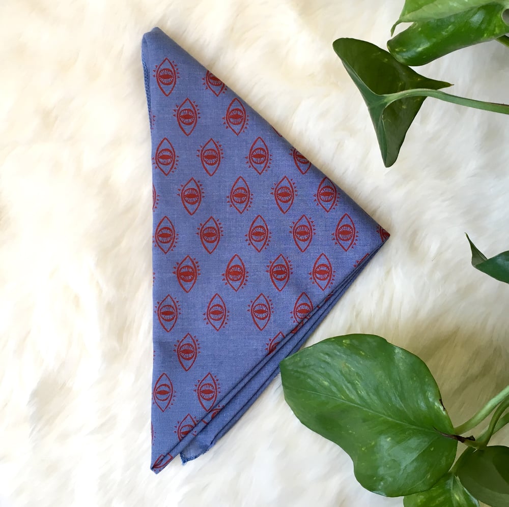 Eyeball Bandana in Red and Chambray