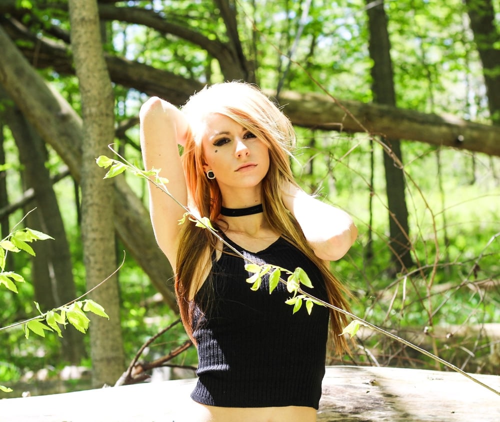 Image of Forest 