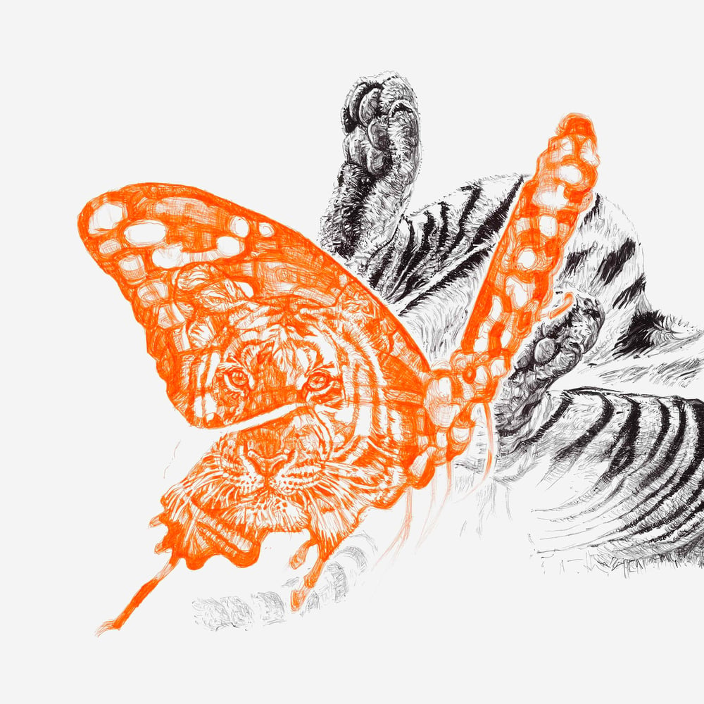 Image of BUTTERFLY LOVER LIMITED EDITION PRINT
