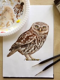 Image 5 of Oswald Little Owl ~ Removable Wall sticker