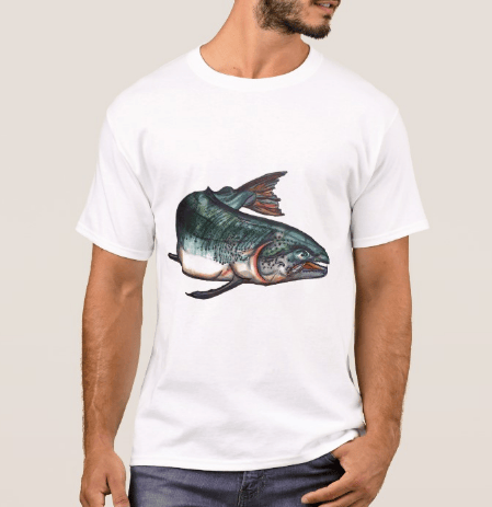 Image of Men's Salmon Crew Neck T-Shirt