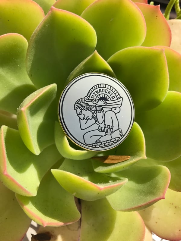Image of Gold Coin Pin