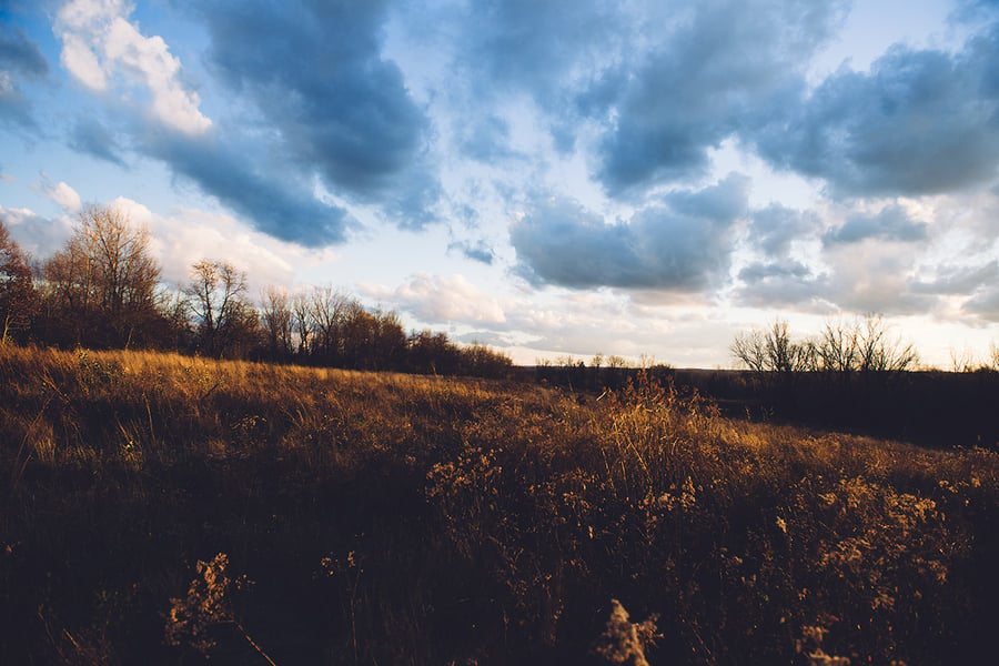 Image of One day I will see the golden fields, and be at peace