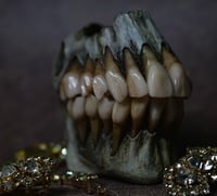 Image 4 of Old Bone Dental Ring Box- ring storage stash box handmade, one off