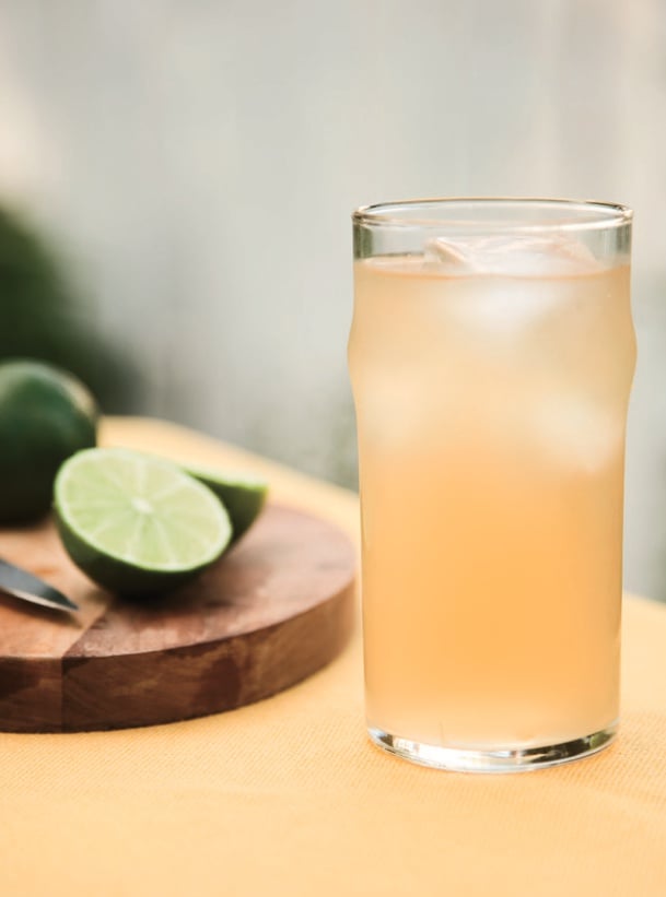 Image of  Hold My Moscow Mule -Ginger Beer