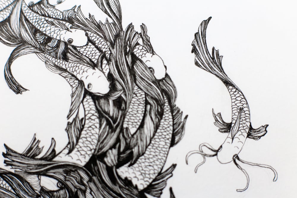 Image of Poissons