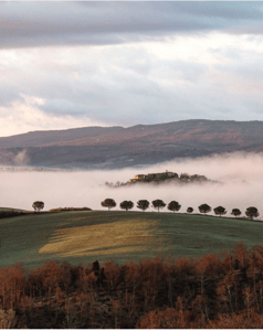 Image of Capture, Eat, Visit! Food Styling, Photography & Cooking Workshop in Tuscany, October 7th-11th 2017 