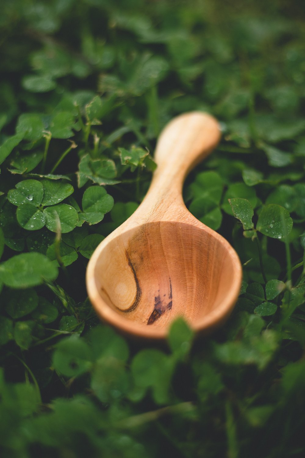 Image of Cherry Coffee scoop