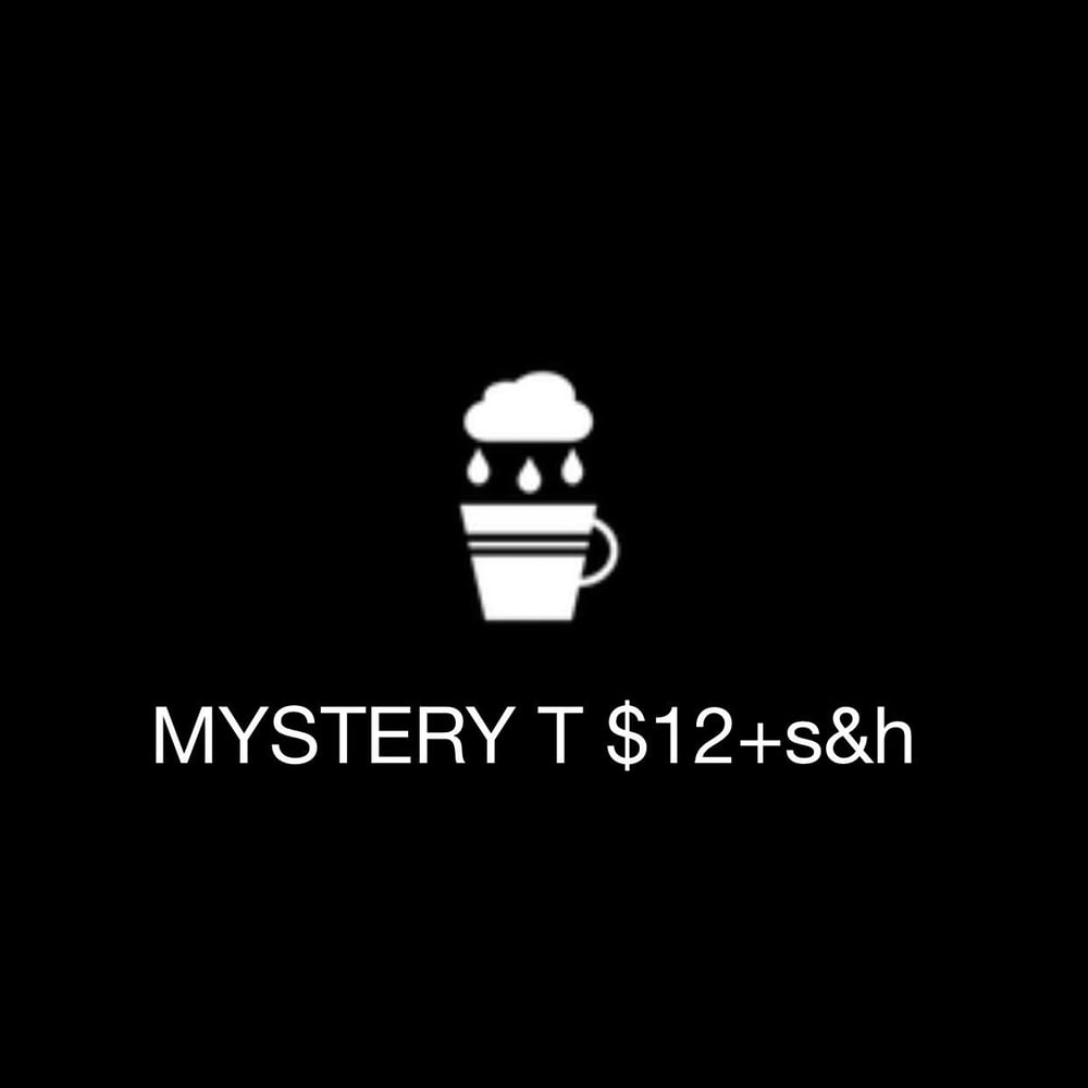 Image of MYSTERY T