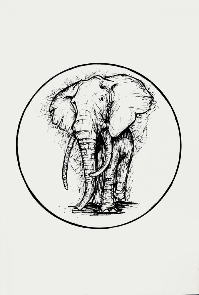 Image of Elephant