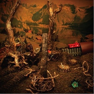 Image of Robert Gomez-Pine Sticks and Phosphorus CD