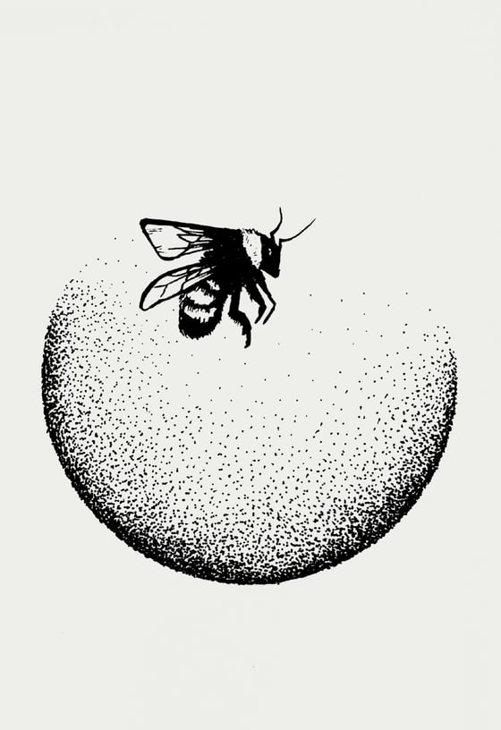 Image of Bumble Bee