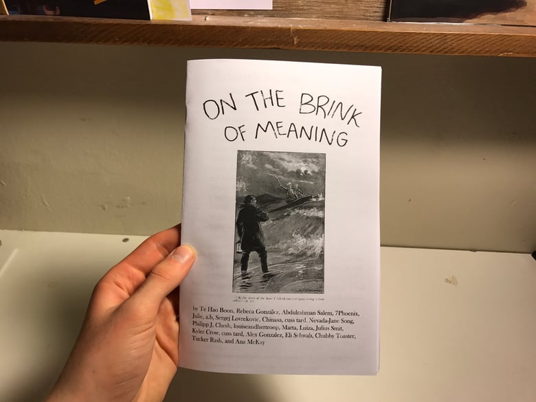 Image of On the Brink of Meaning