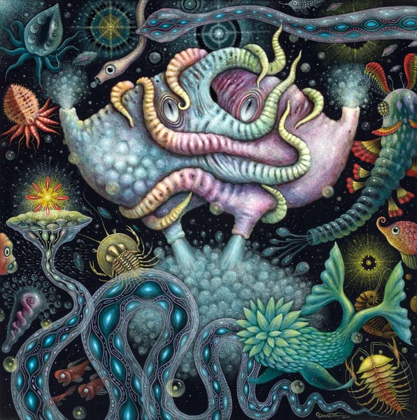 Image of CEPHALOPODS II ~ 15 x 15" Signed Open Edition