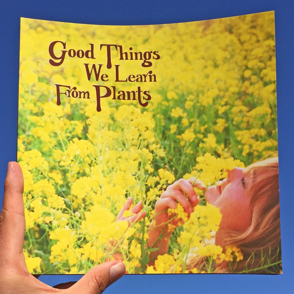 good-things-we-learn-from-plants-good-things