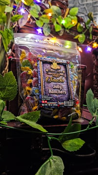 Image 1 of 👑The Armored Kingdom Jolly Ranchers 🍬