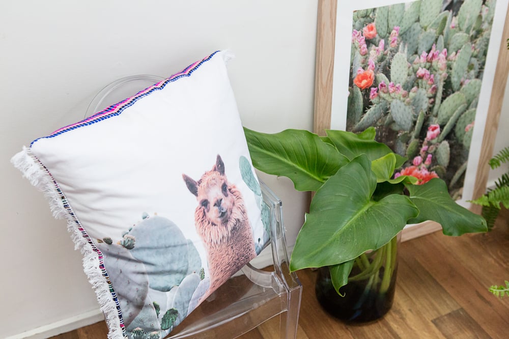 Image of Alpaca Cushion