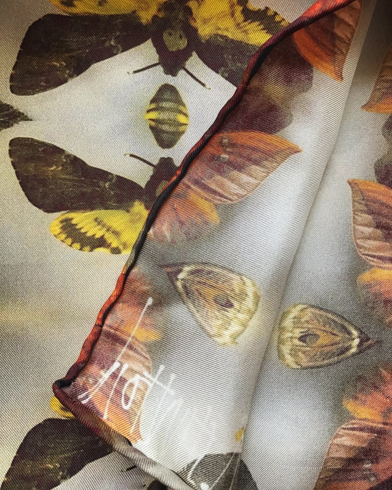 Image of MUSEUM MOTHS...100% SILK POCKET SQUARE WITH HAND ROLLED EDGES