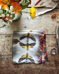 Image 3 of MUSEUM MOTHS...100% SILK POCKET SQUARE WITH HAND ROLLED EDGES