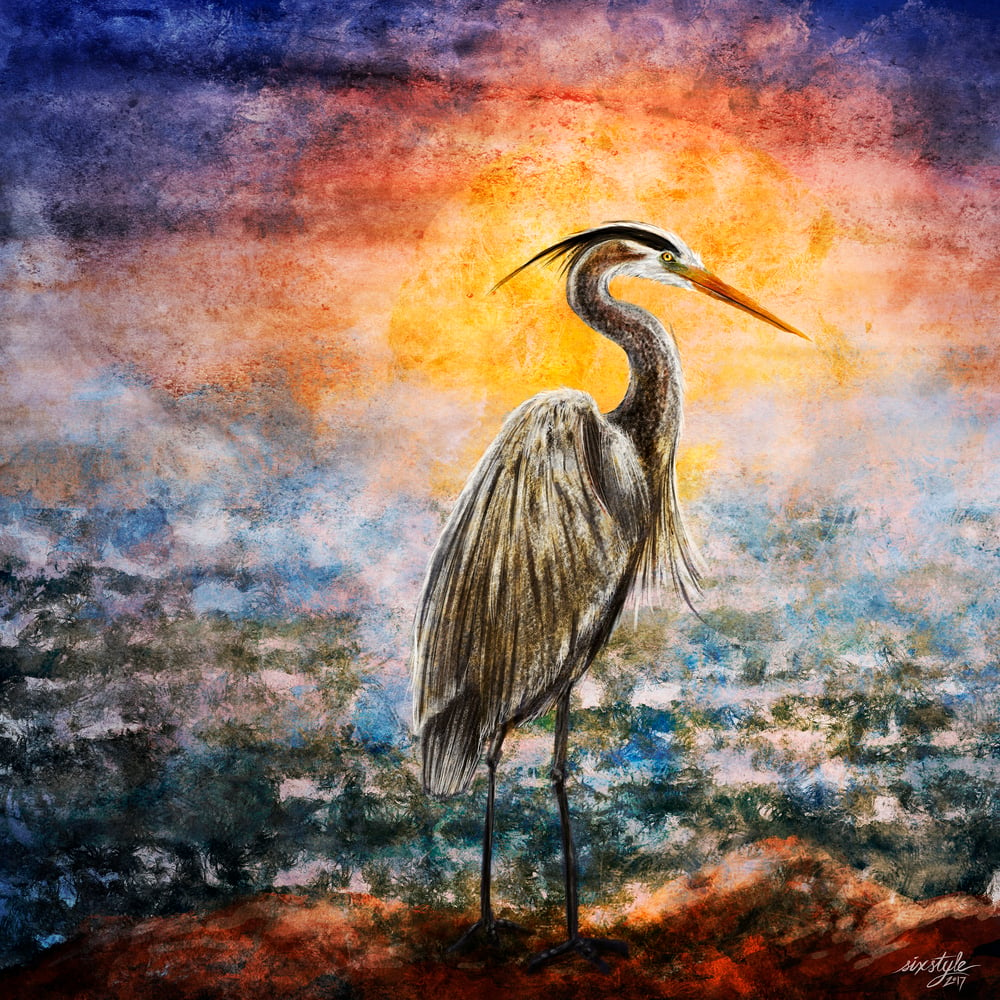 Image of Heron