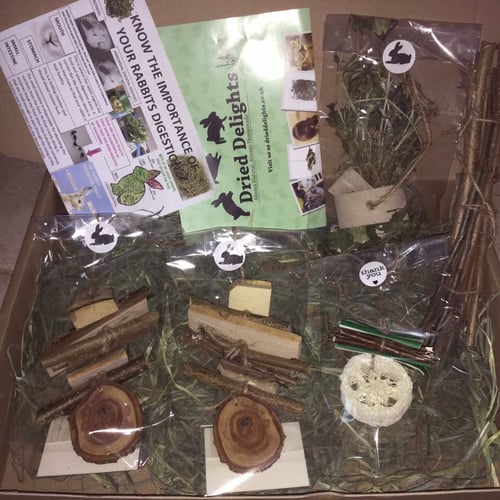 Image of Loofah, Branch and Paper Hanging Enrichment Toy