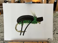 Image 1 of Turbo Beetle