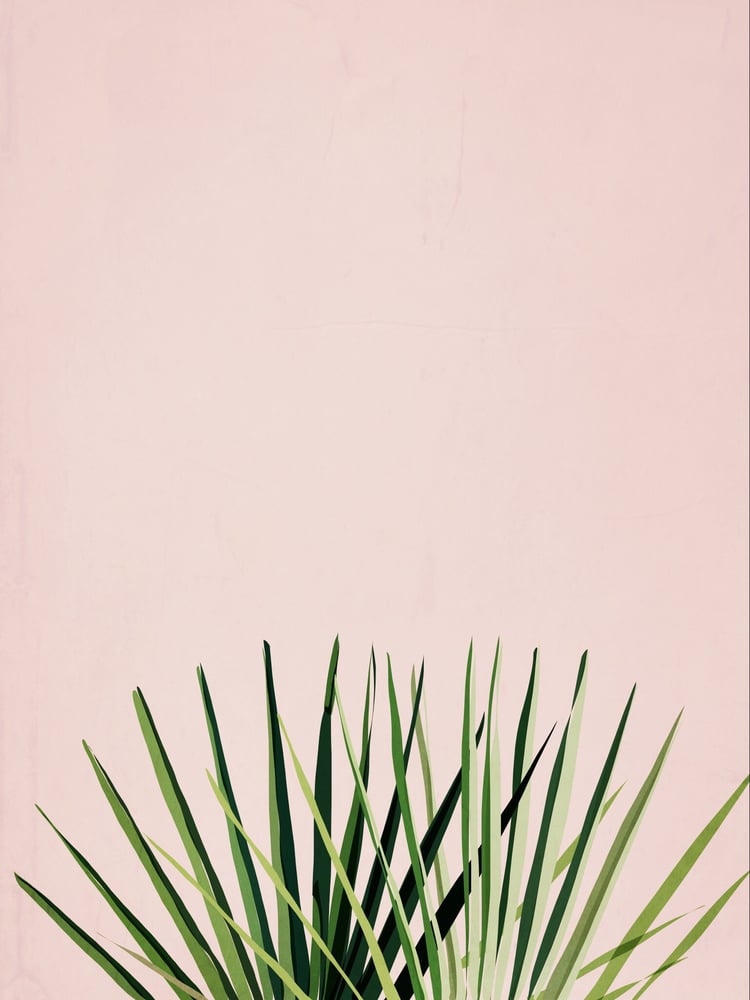 Image of Pink palm Giclée Art Print 