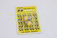 Image 1 of MOONEYES License Plate Bolts