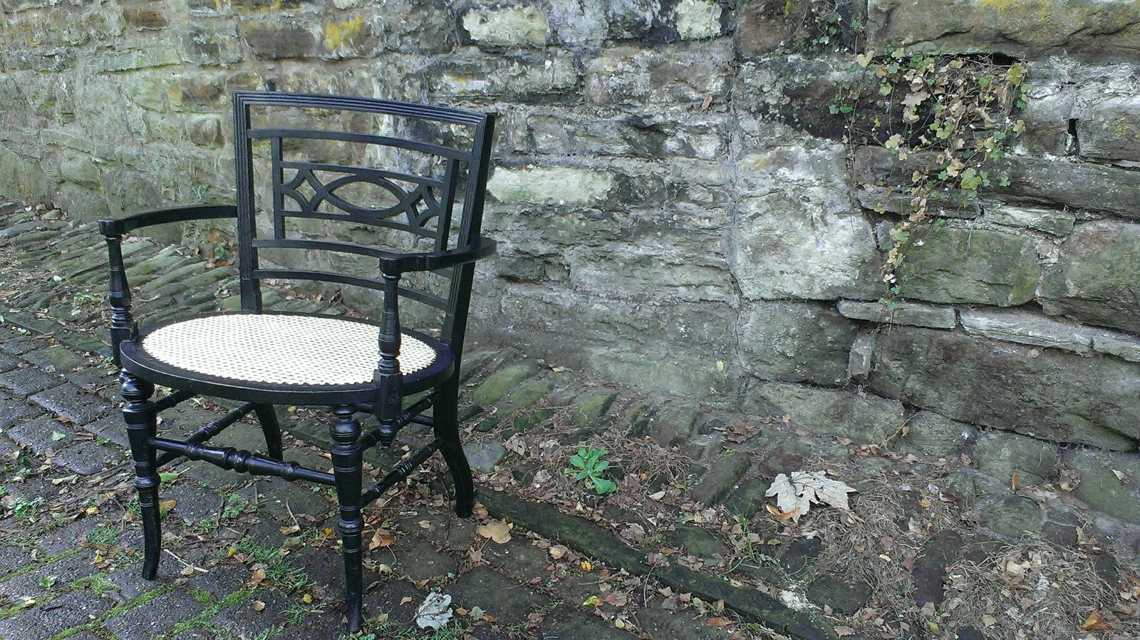 Unusual store occasional chairs