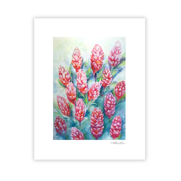 Image of Ginger Flowers, Archival Paper Print