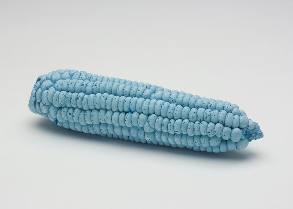 Image of Luscious Cast Plaster Blue Corn on the Cob