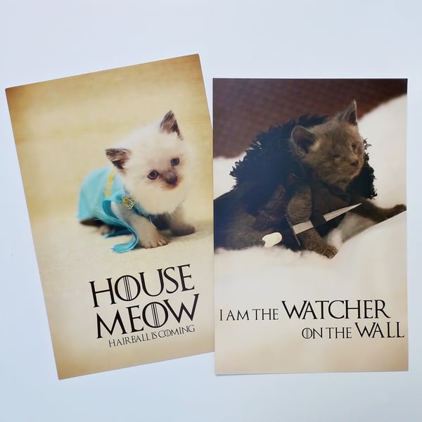 Image of Poster - House Meow